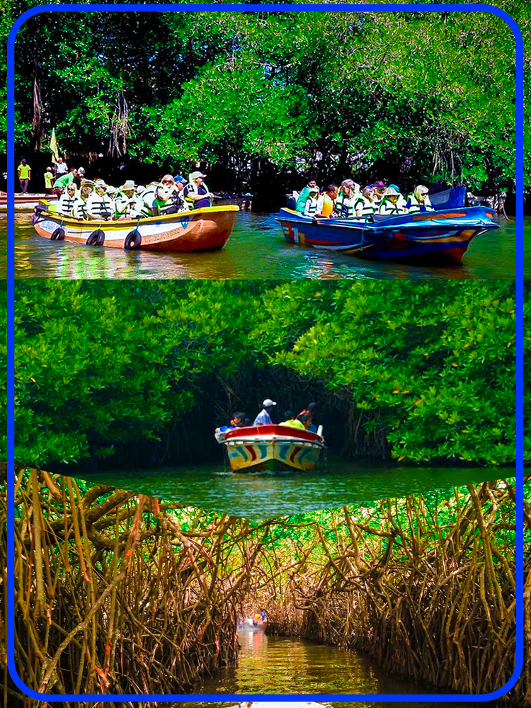 Madu River Boat Safari