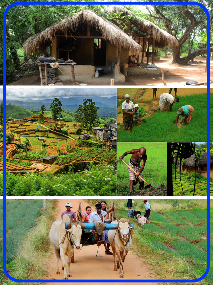 Village Tour