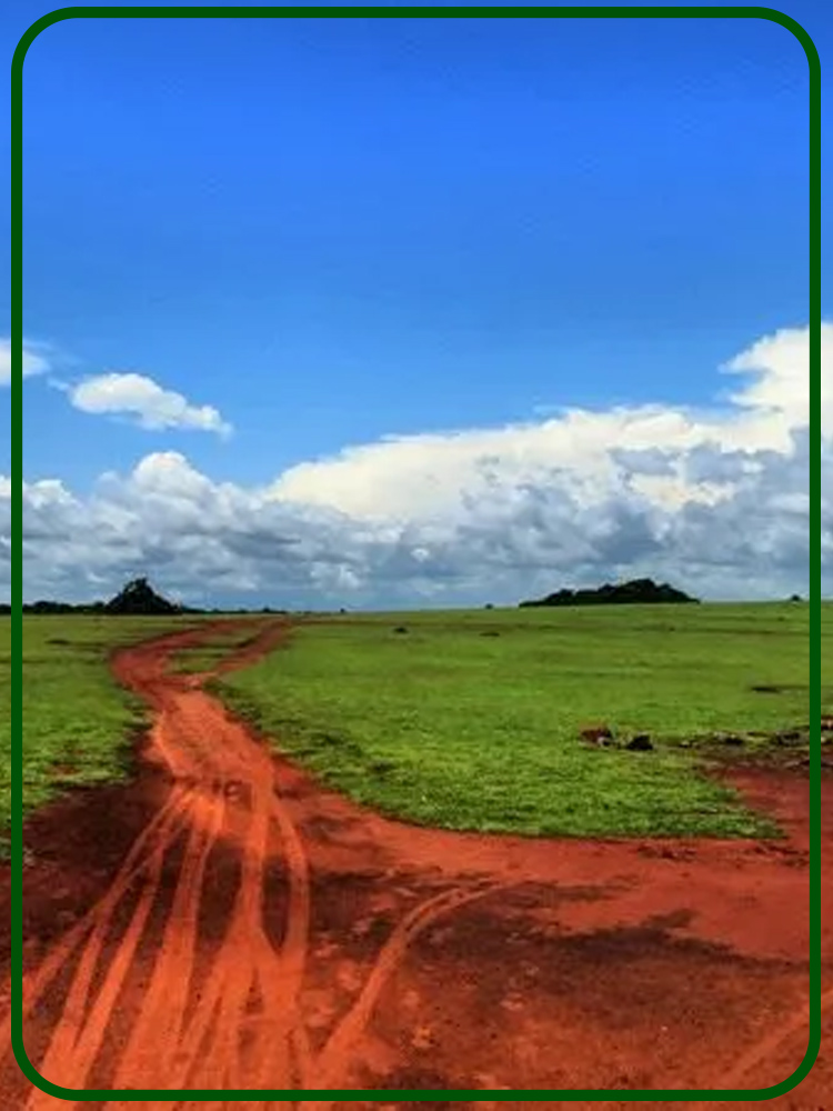 Ussangoda National Park